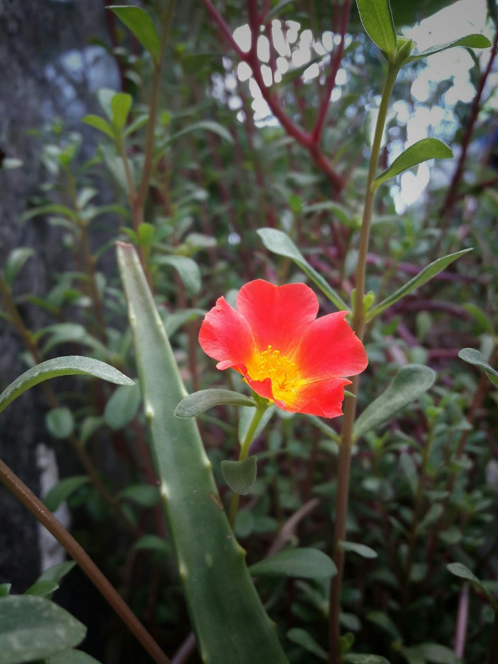Mười giờ Thái