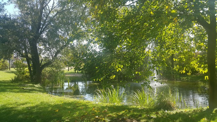 University Lake