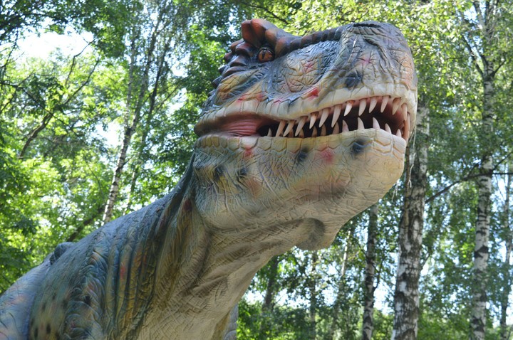 dinosaur