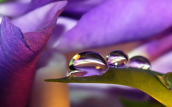 Drops...