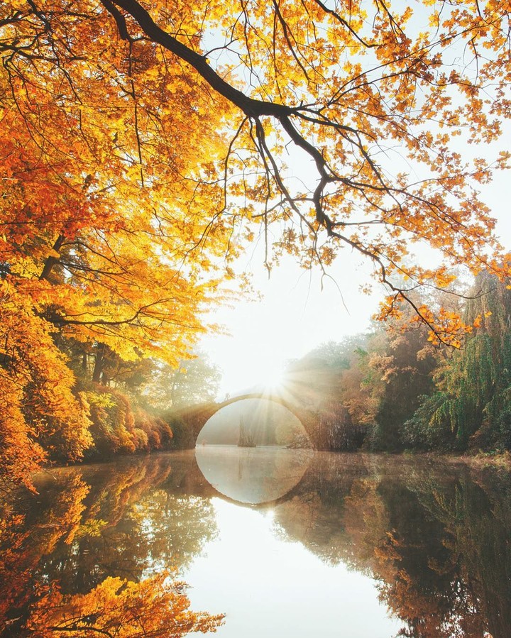 Yellow autumn.