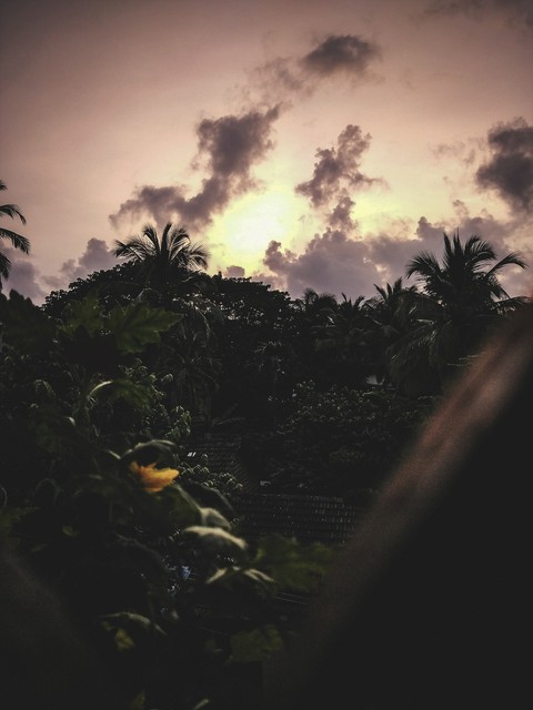 Brownsville