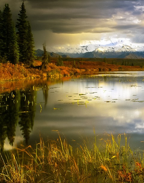 nature příroda