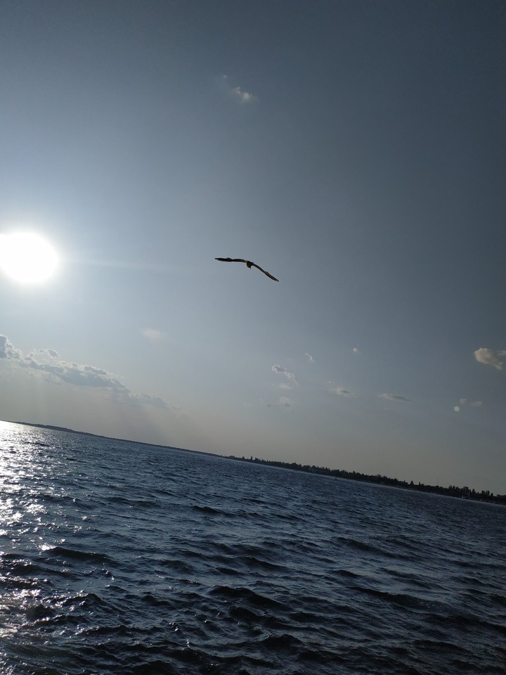 black sea