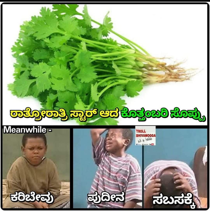 Kannada