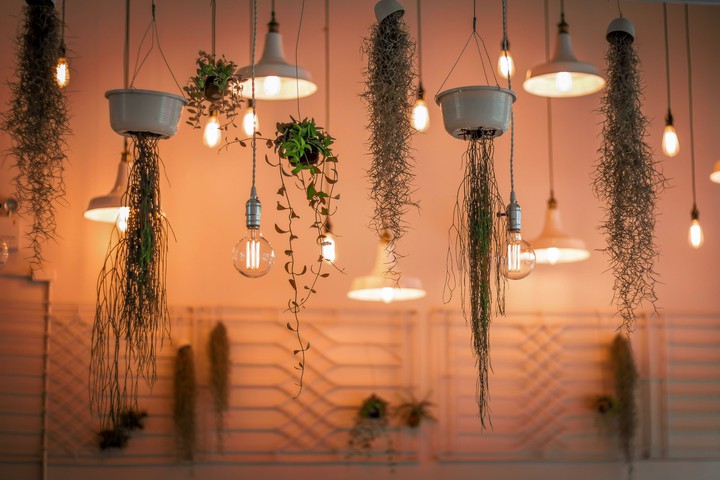 lights