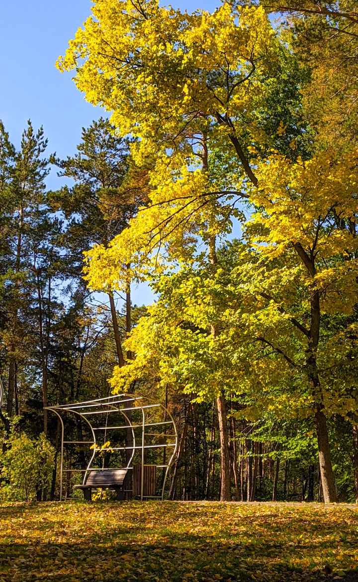 Beautiful autumn