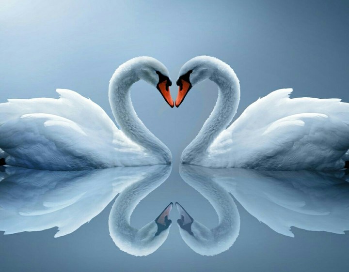 lovely
