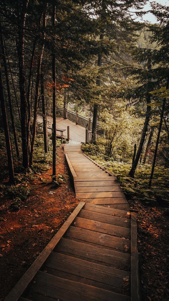 way