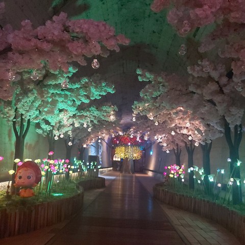 hình nền world, vegetation