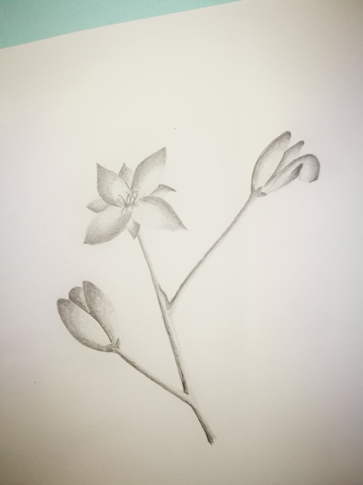 draw by me