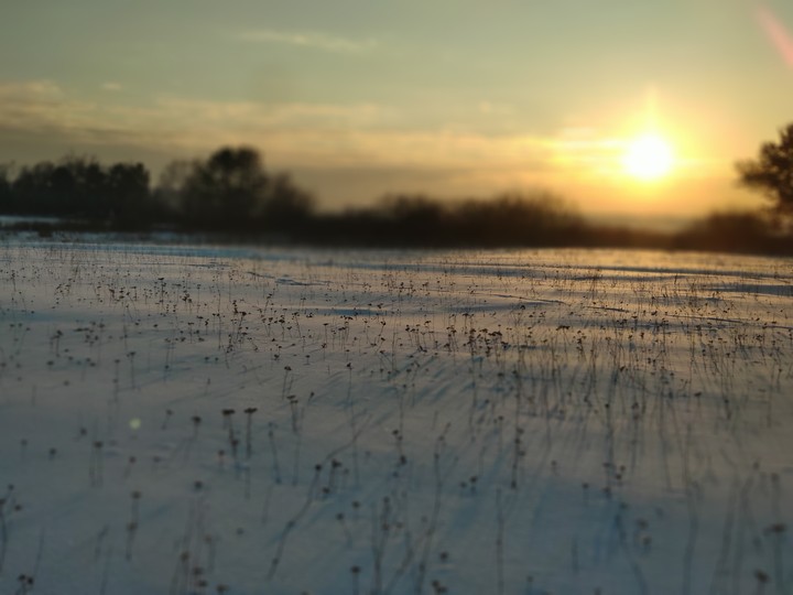#winter
