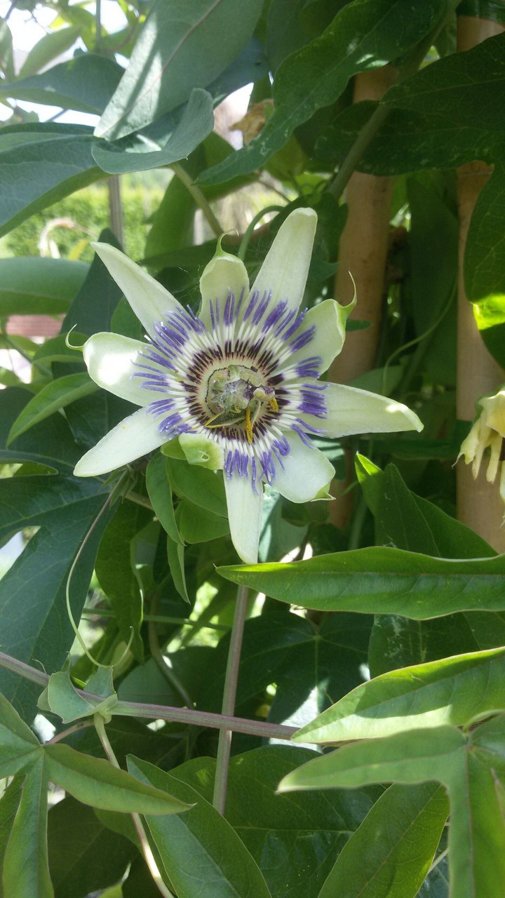 im Stadtpark Gütersloh