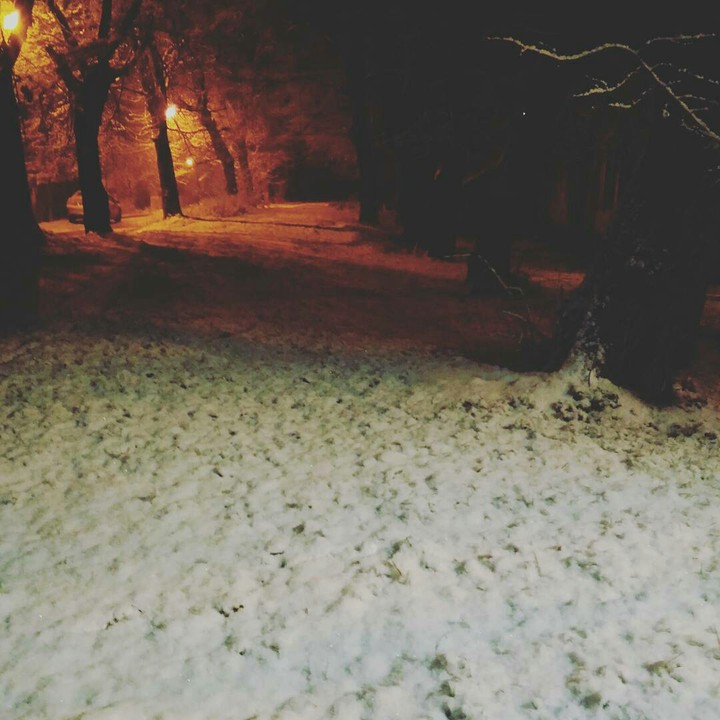Winter