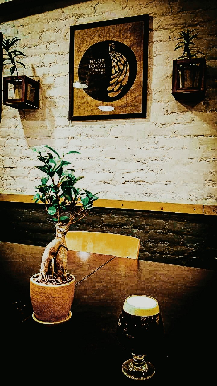 Blue Tokai Coffee