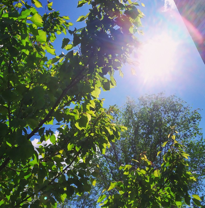 Солнце ☀. Sun