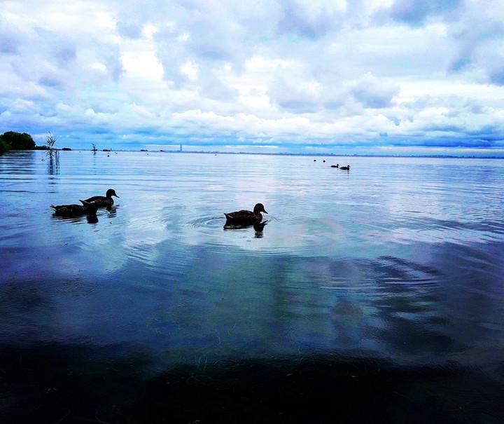 Gulf of Finland
