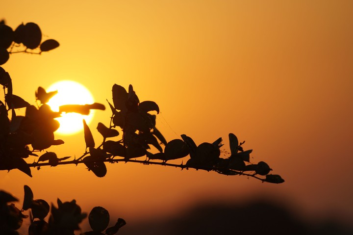 yellow glam»Sun