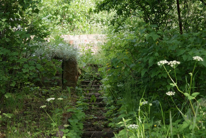 Secret Garden