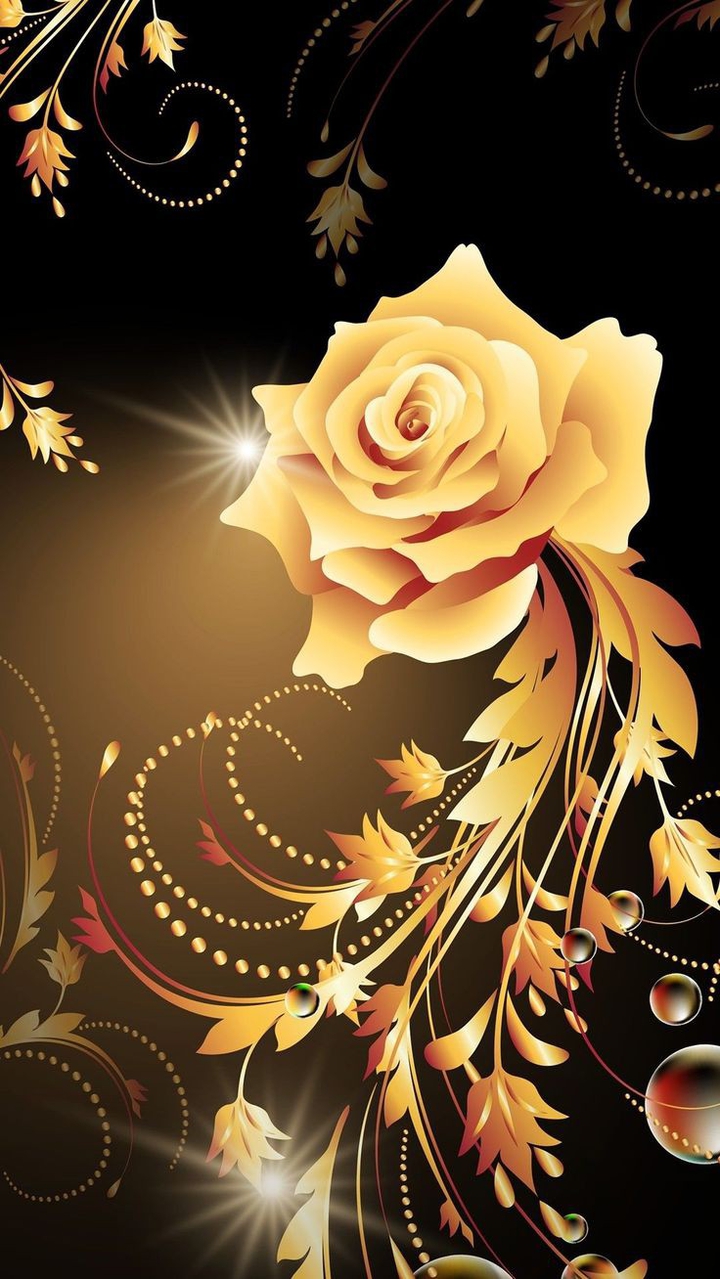 Beautiful Rose