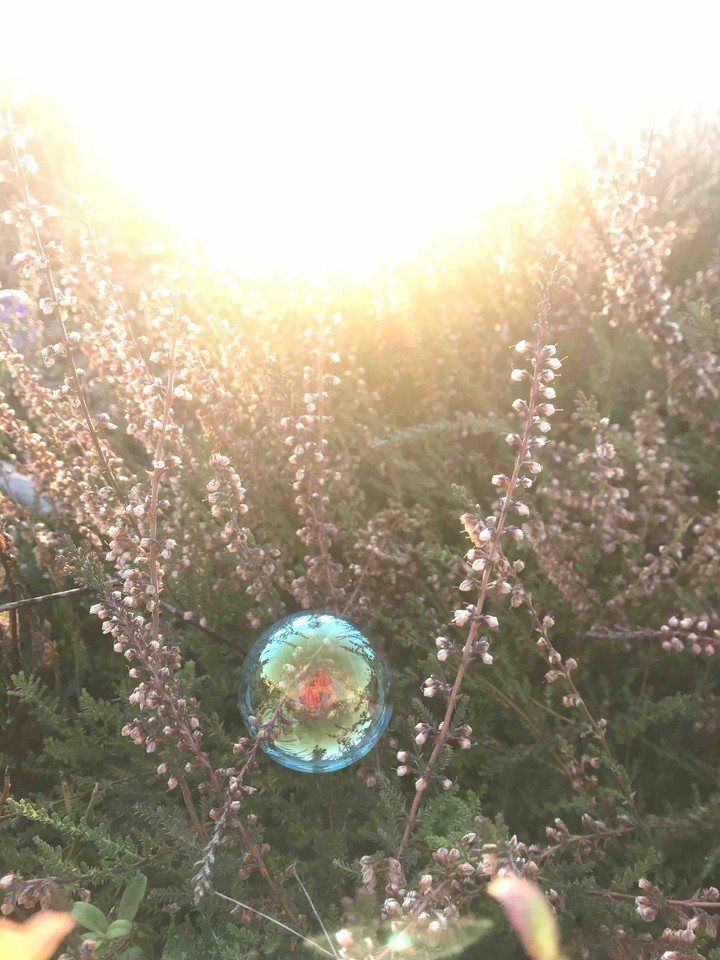 ☀️