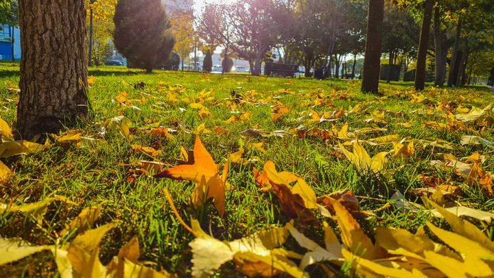autumn?❤️