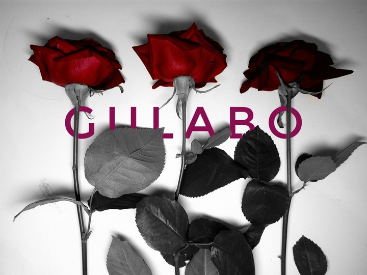gulabo