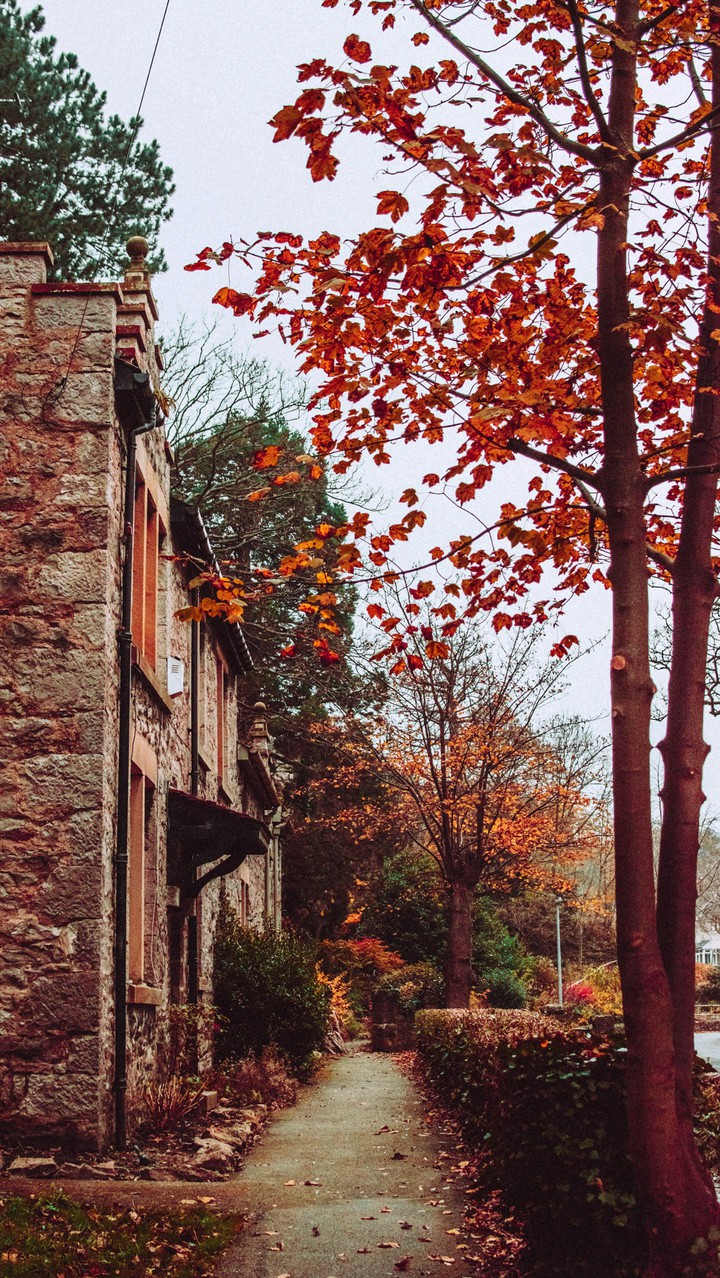 autumn