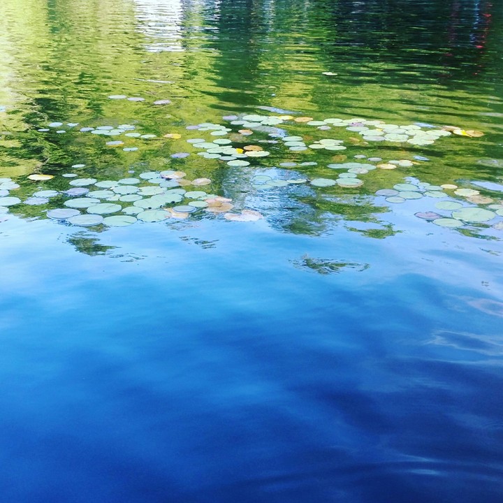 blue and green