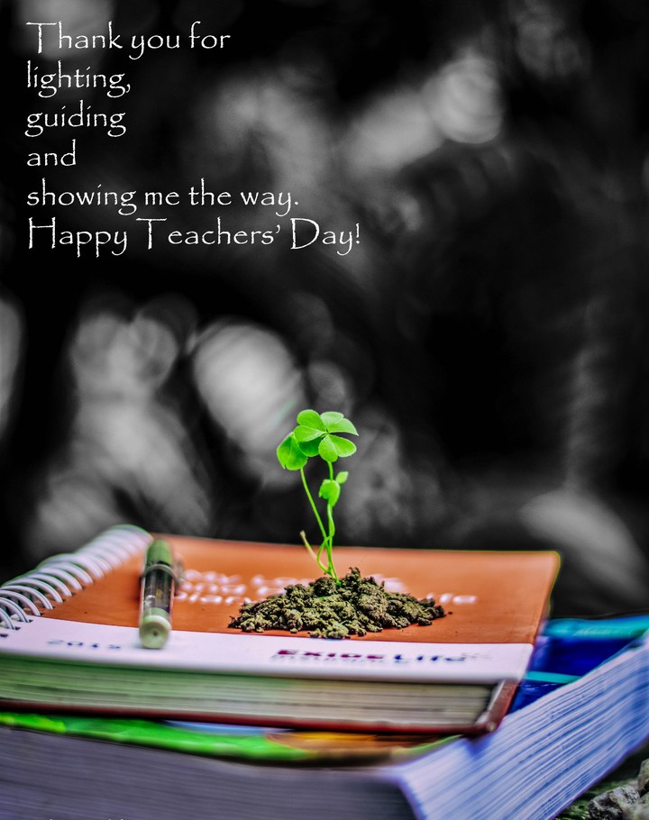 teacher's Day
