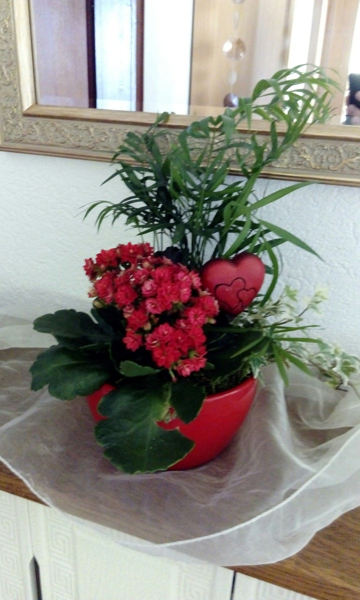 flowers