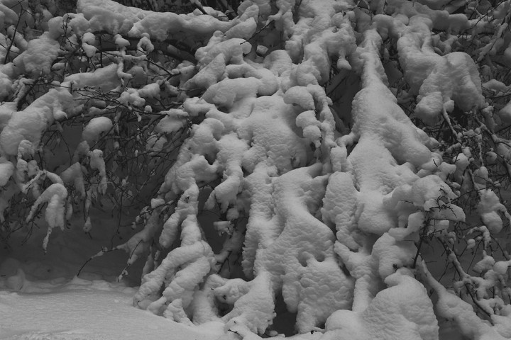 somewhere in winter