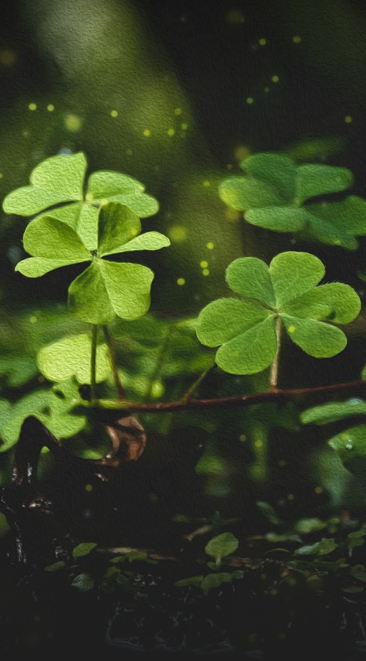 trefoil