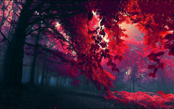 automne