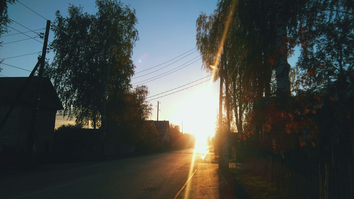Теплота проходящей осени