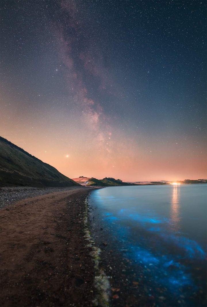 Stary Sky