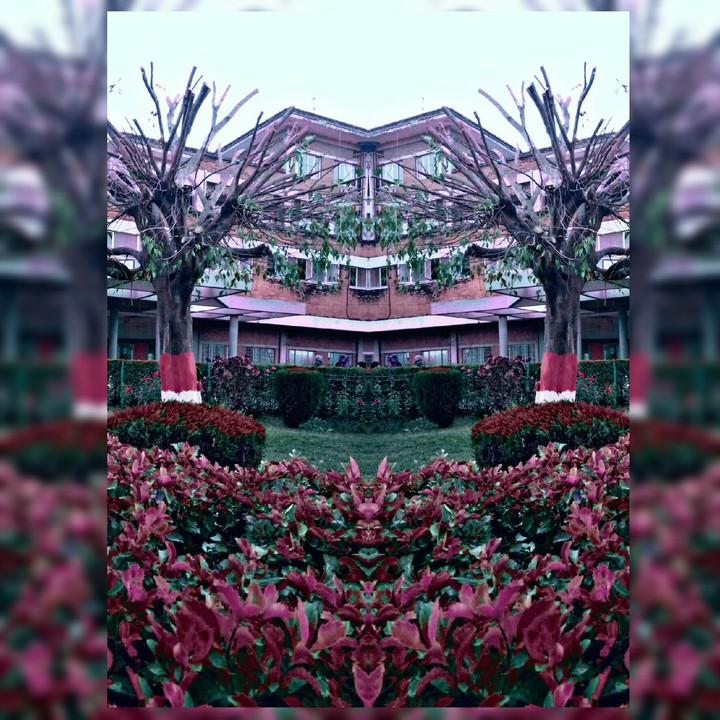 winter