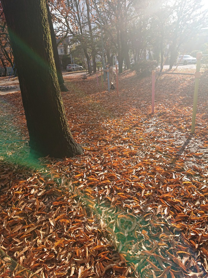 Winter