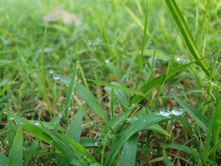 water drop