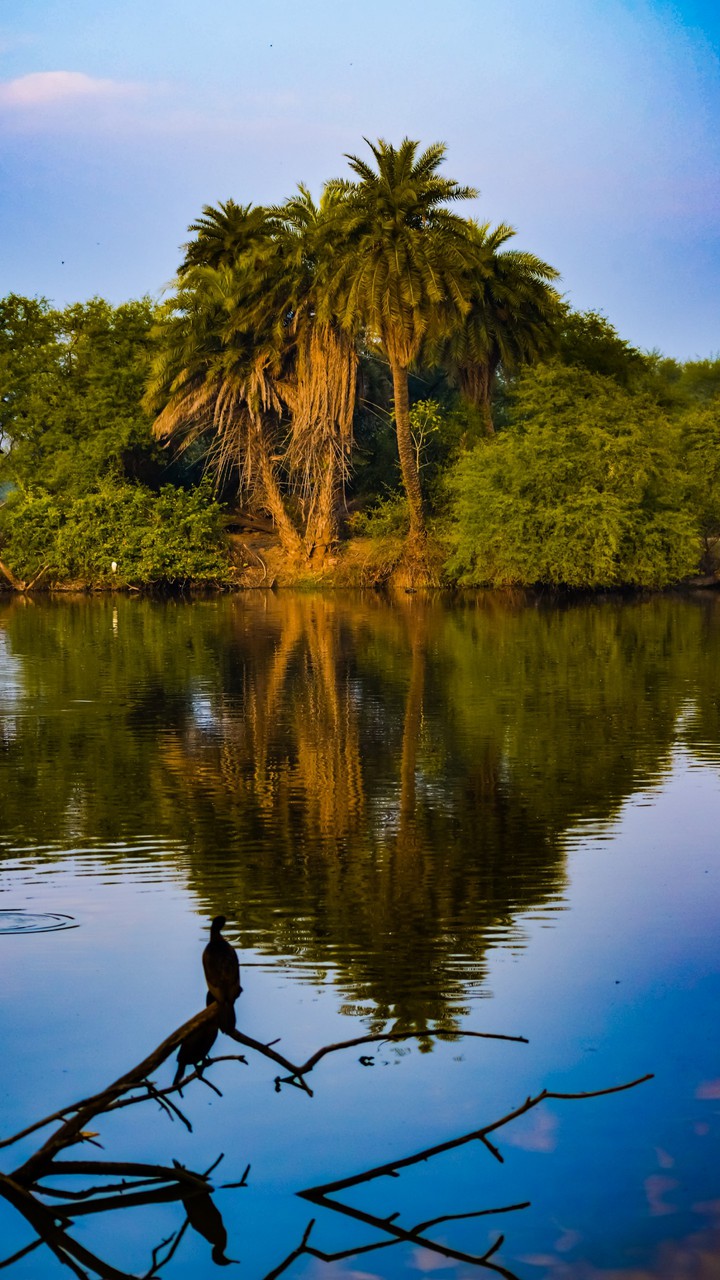 reflection