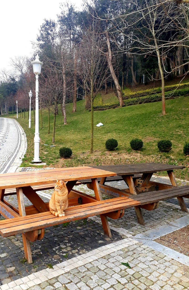huzur