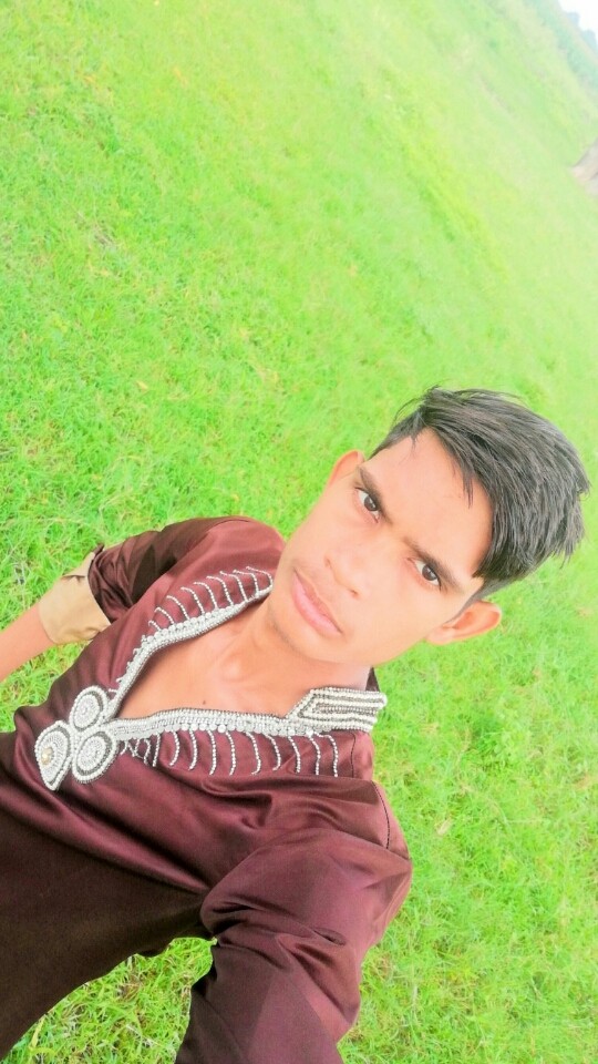 photos