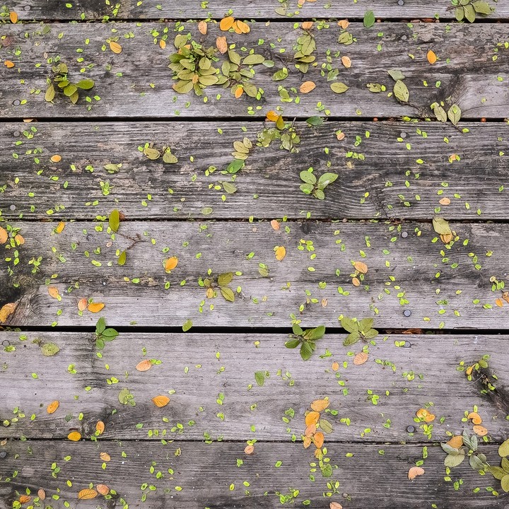 Wooden Table with Falling Leaves