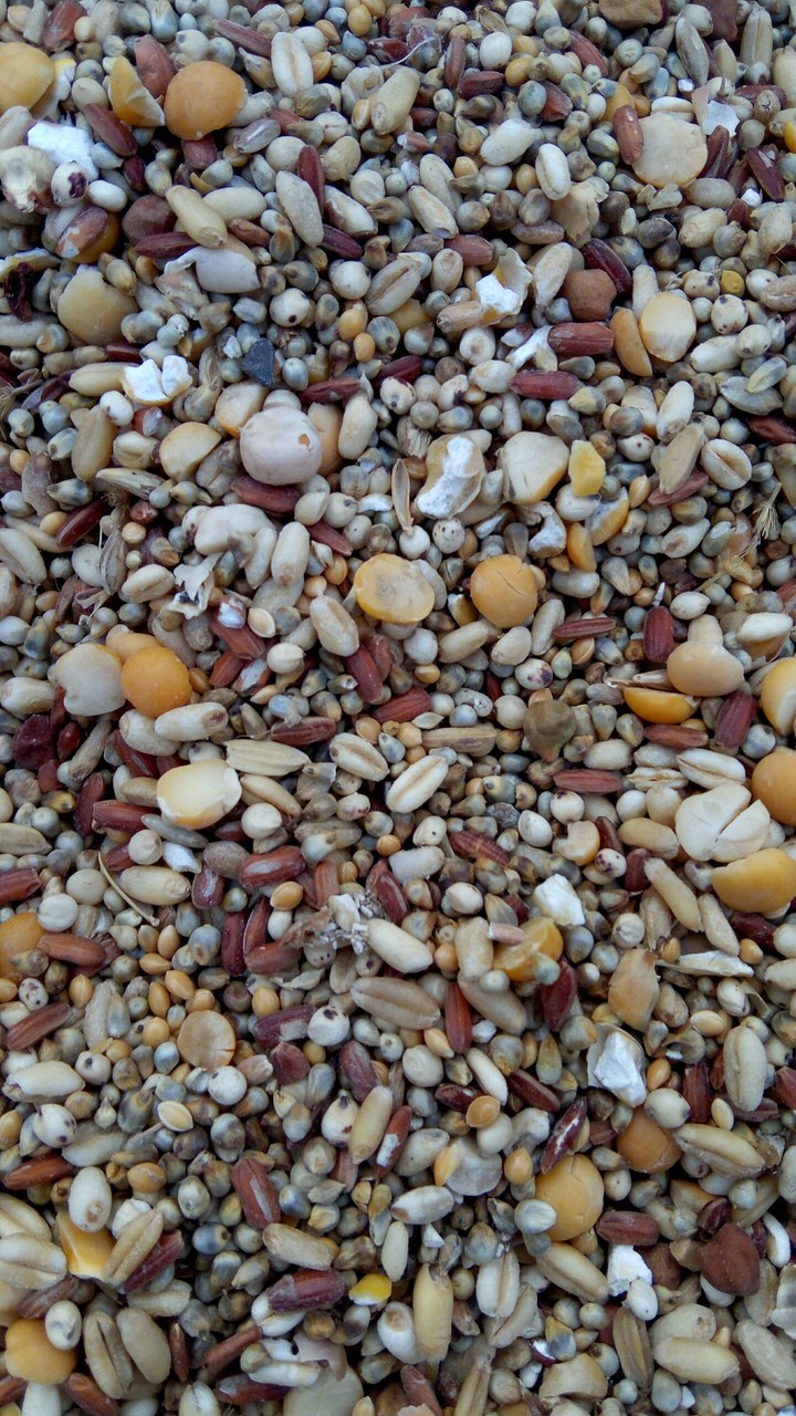 seems like marble pieces?