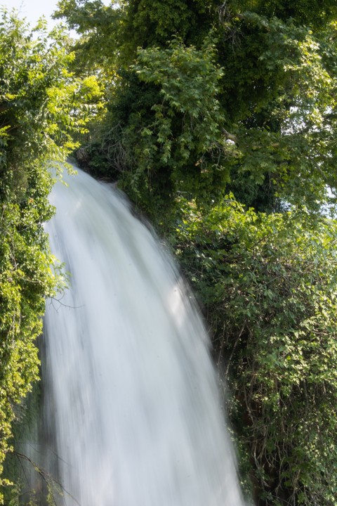 watercourse, vegetation háttérképek