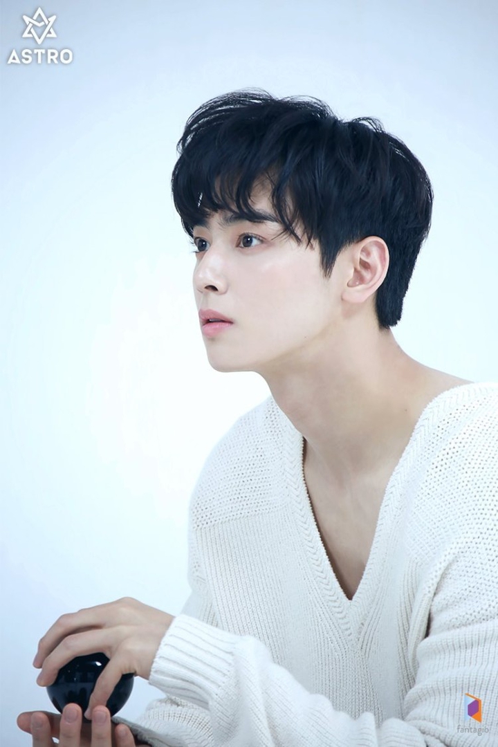 Korean actor ChaEunwoo
