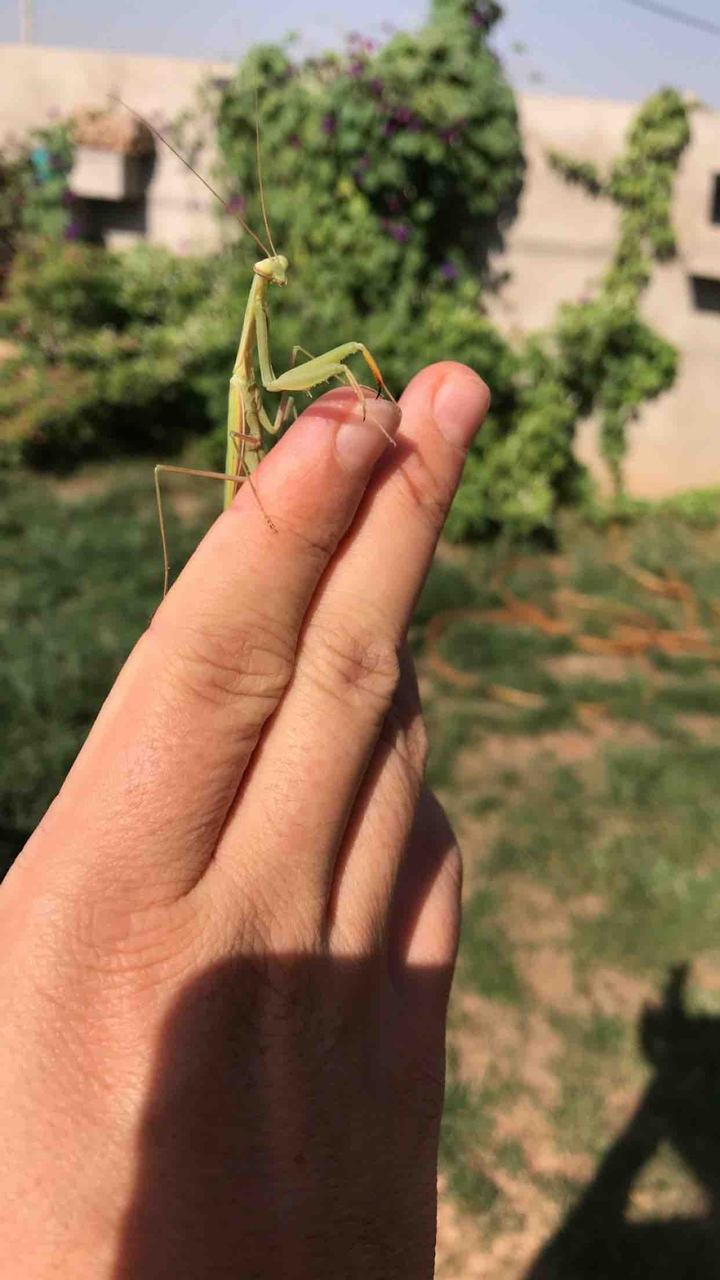 ??