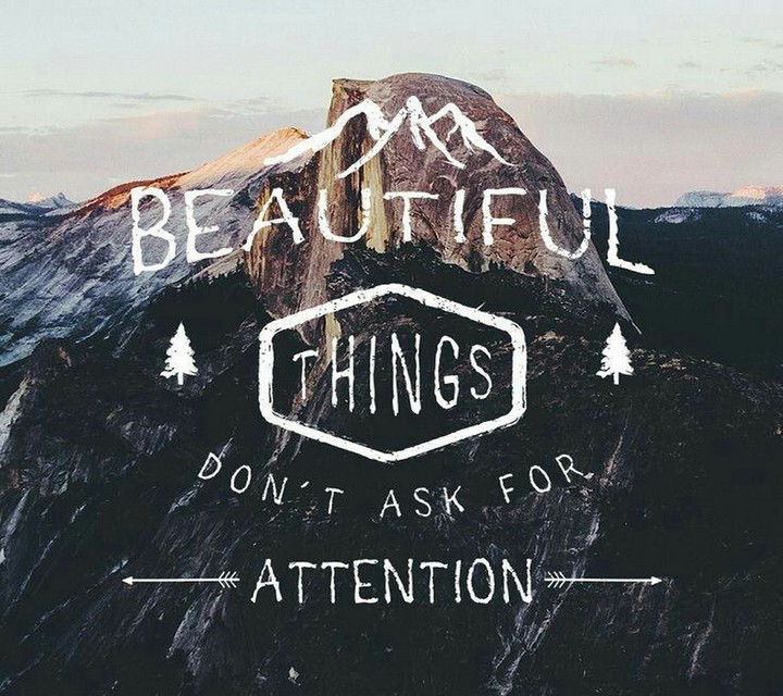 beautiful things don't ask for attention