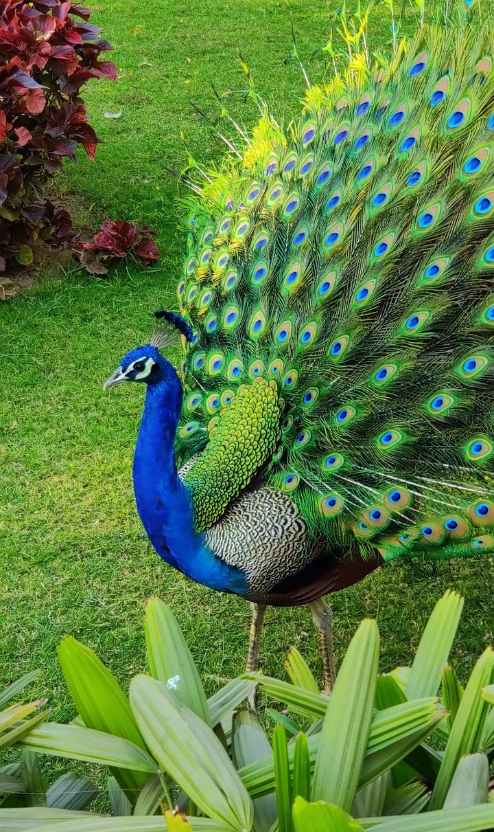 .