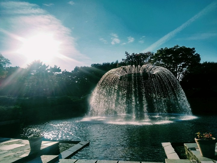 fountain